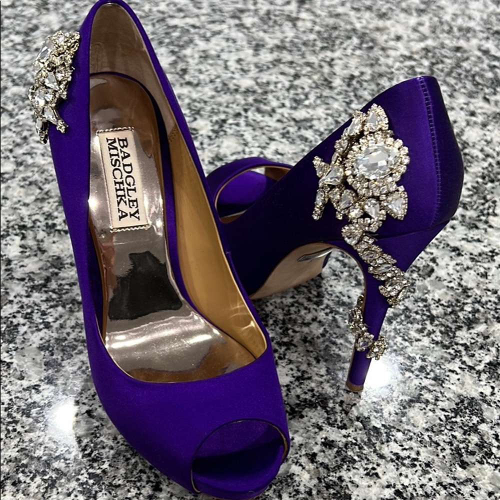 Bradley Mishka Purple Crystal Encrusted Pumps